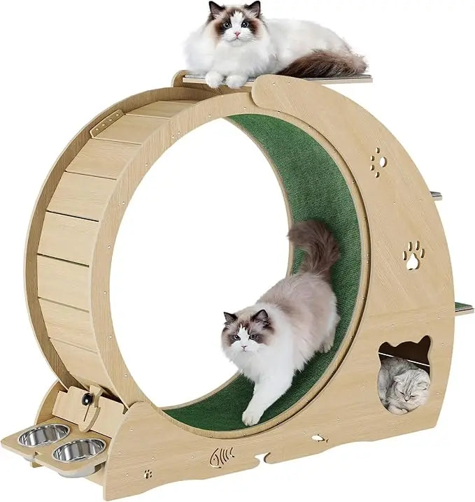 40 Large Indoor Cat Exercise Wheel, 4-in-1 Running Treadmill with Carpeted Track and Scratcher