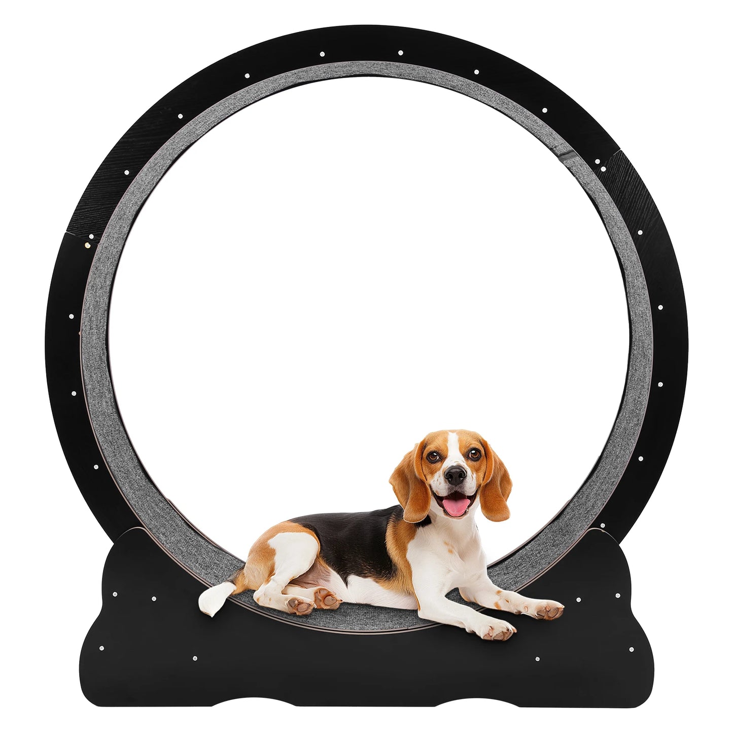 Cat Wheel Cat Treadmill Cat Exercise Wheel Fitness Roller Cat Climbing Frame for Indoor Cats Physical Exercise Activity