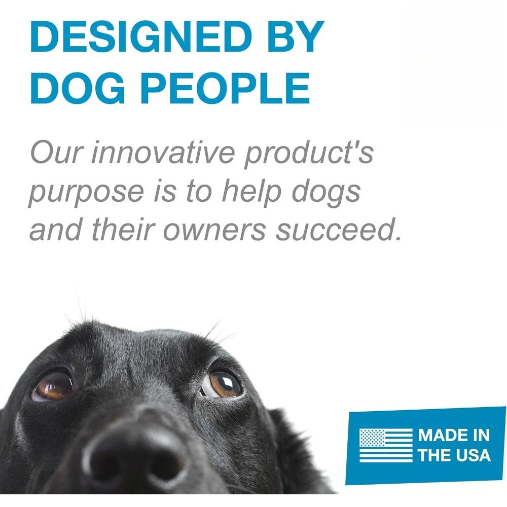 Training Kit, Professionally Designed Dog Platform and Accessories for Training and Agility and Accessories, Purple