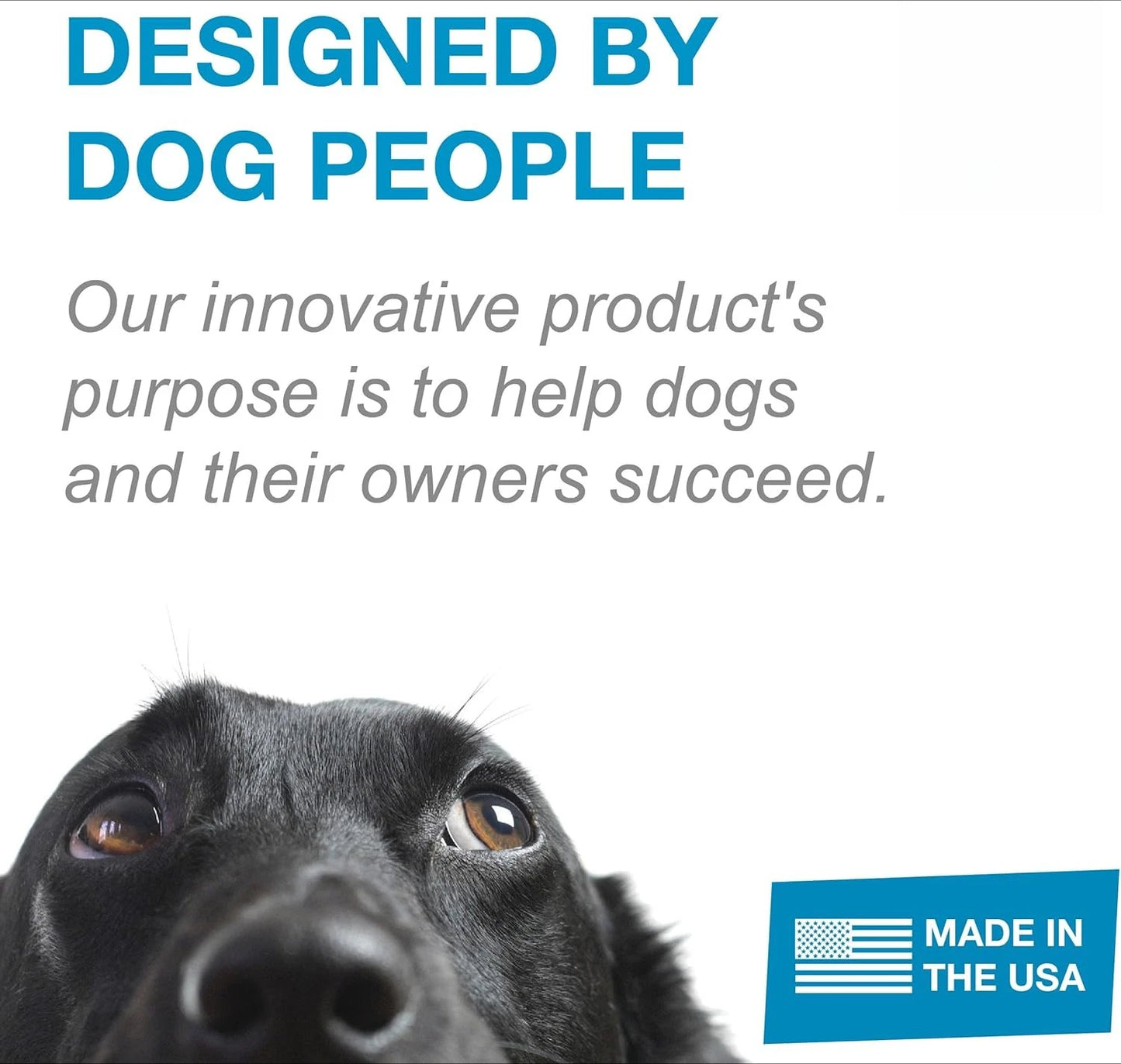 Training Kit, Professionally Designed Dog Platform and Accessories for Training and Agility and Accessories
