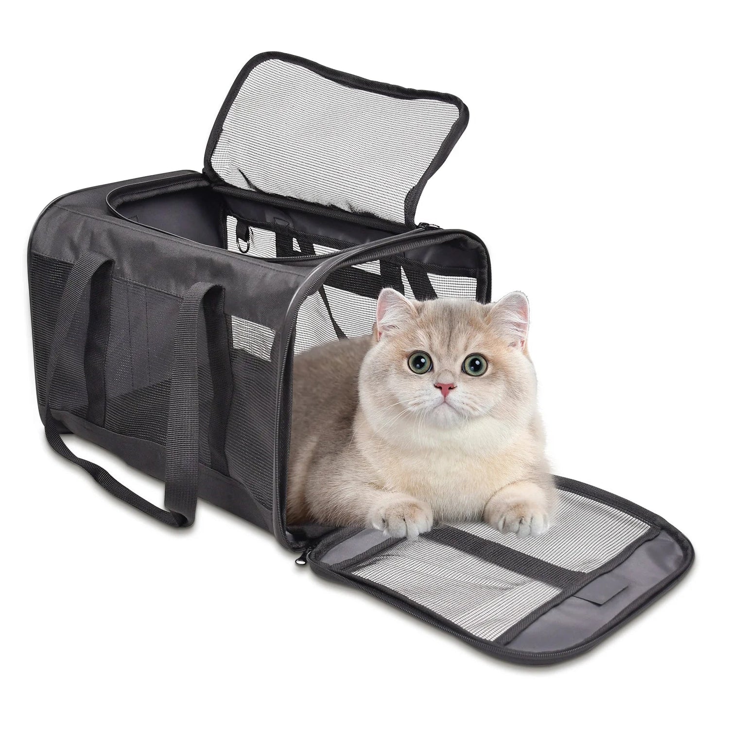 Carrier Bag
