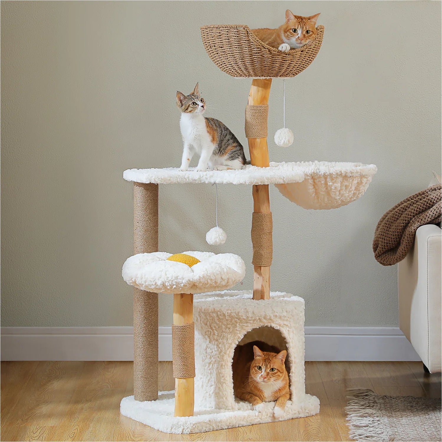 Cat Trees