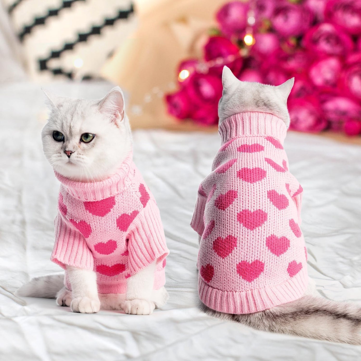 Cat Clothes