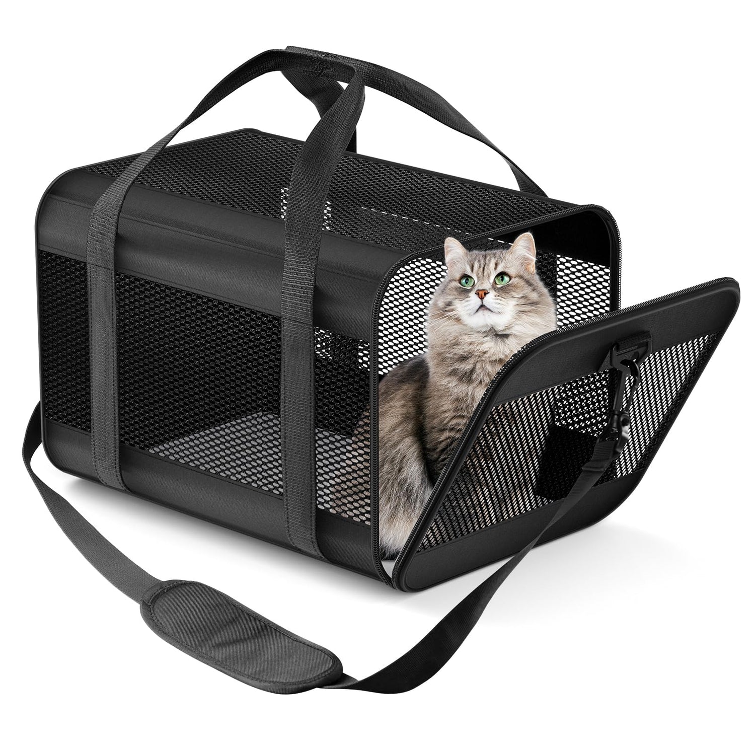 Pet Carriers