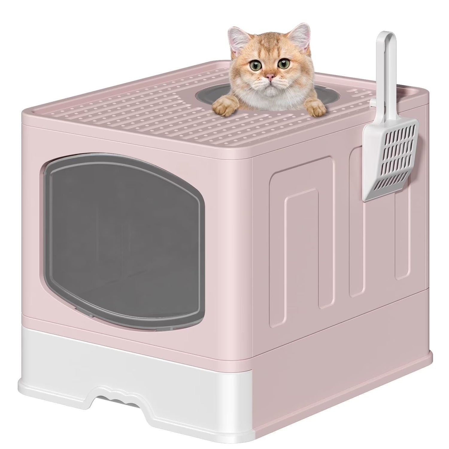 Litter boxes