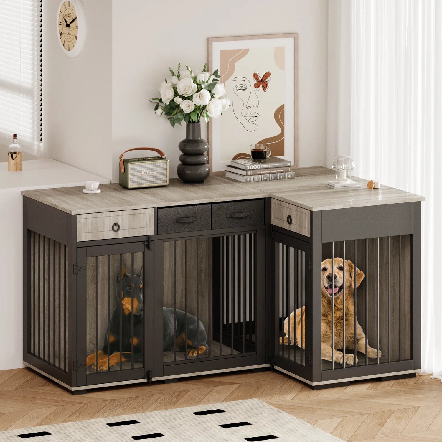 Indoor & Outdoor Kennels