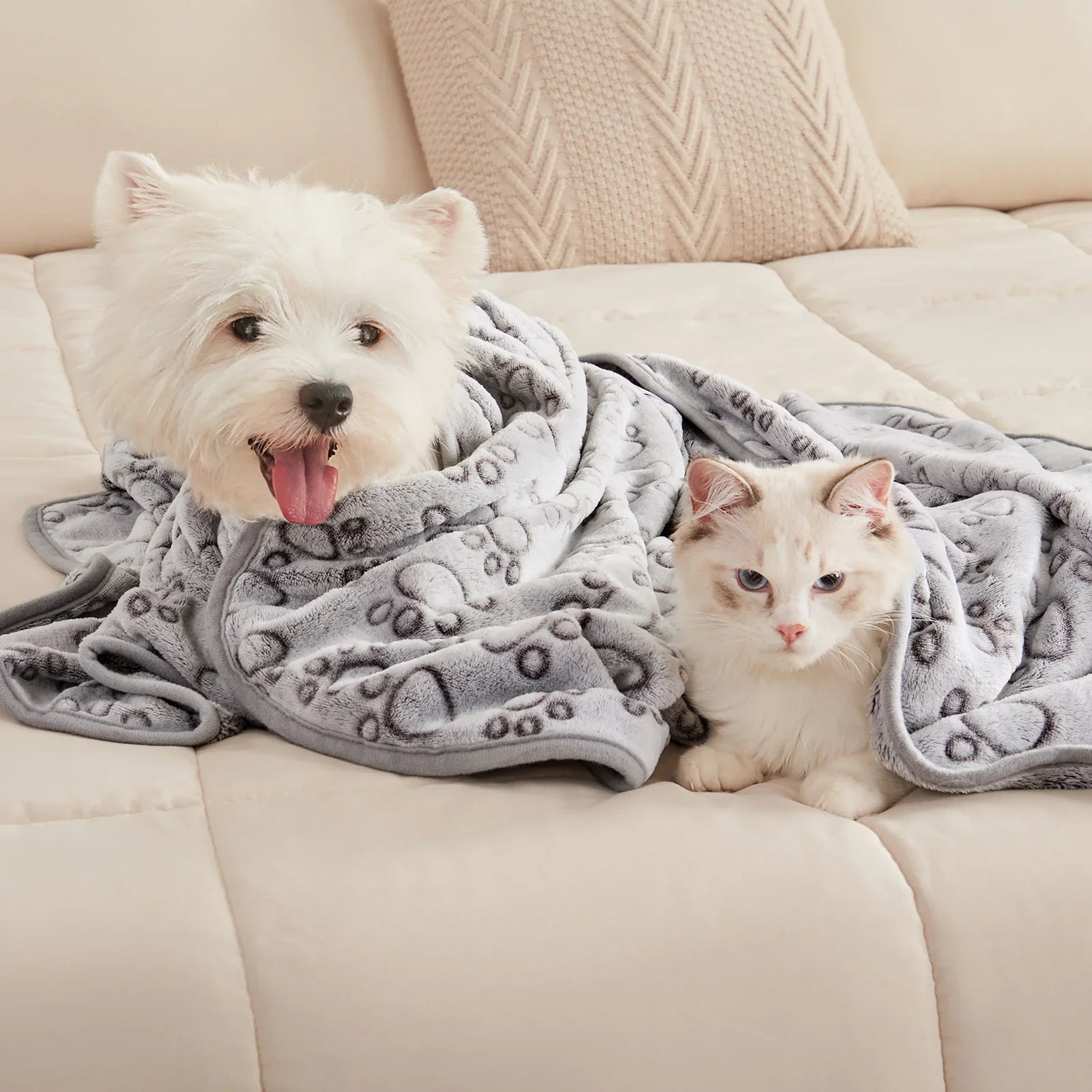 Blankets