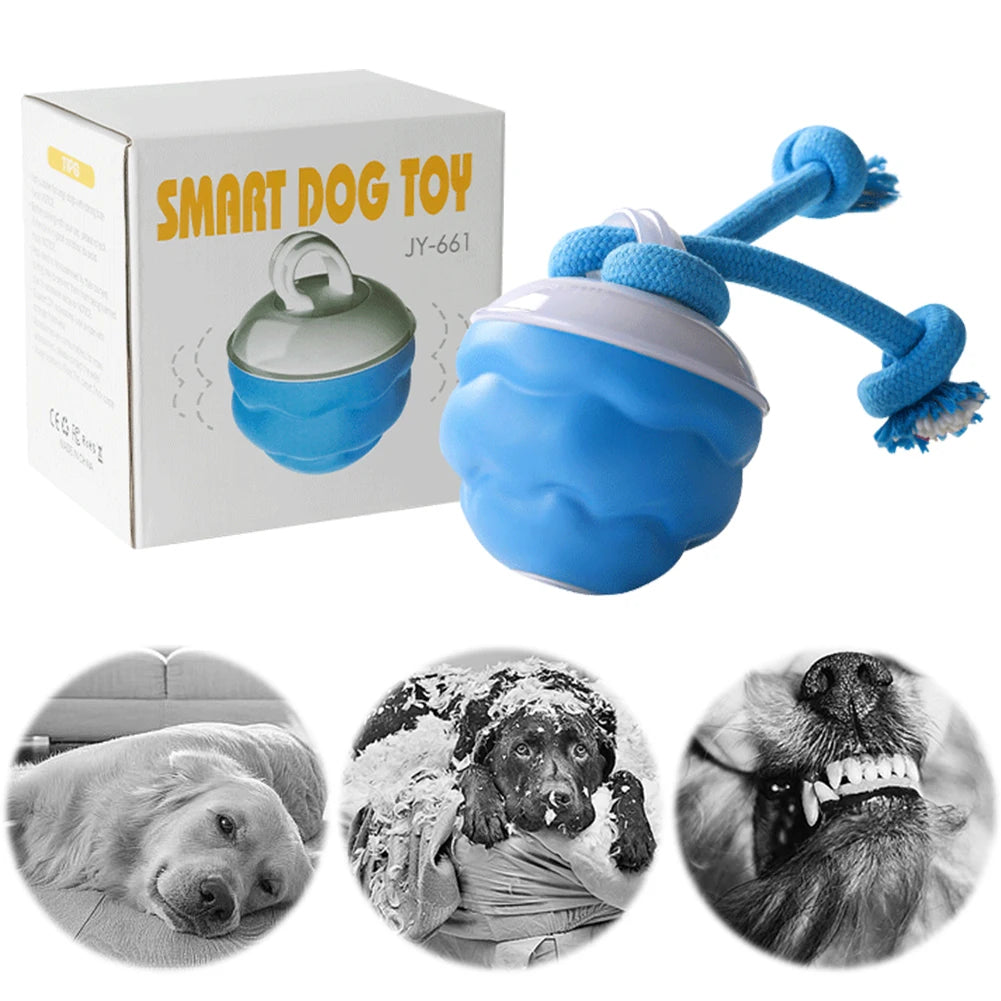 Interactive Dog Toys Ball Electric Rolling Ball with Rope Automatic Bouncing Ball 3 Modes Motion Activate Cat Toy Pet Supplies