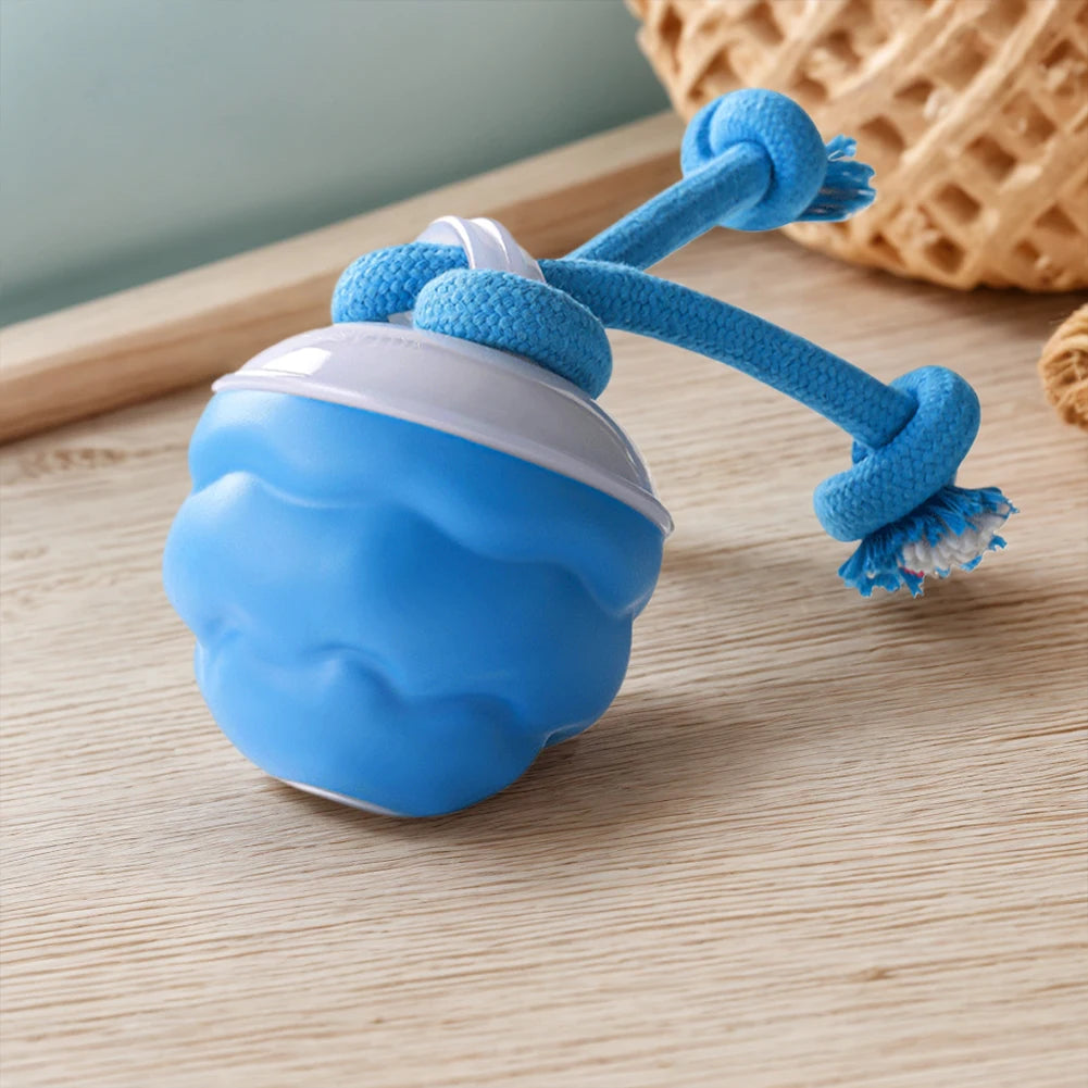 Interactive Dog Toys Ball Electric Rolling Ball with Rope Automatic Bouncing Ball 3 Modes Motion Activate Cat Toy Pet Supplies