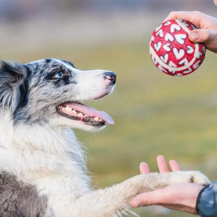 36 Pcs Heart Design Dog Tennis Balls 2.5 Inches Valentine Day Toy Ball for Small Medium Large Dog Durable Teething Chew Toy for