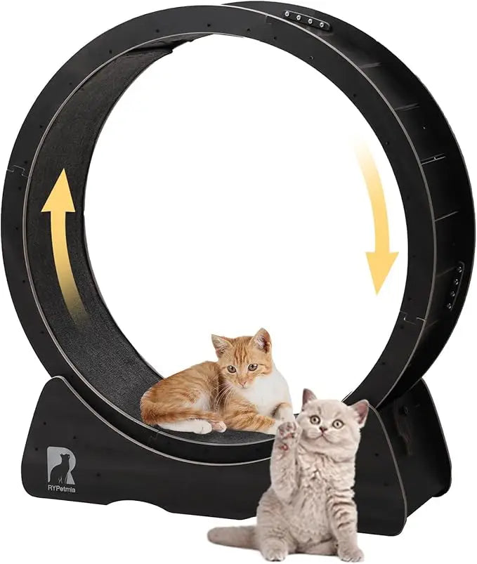 Indoor Quiet Exercise Wheel for Cats, 55 lbs Capacity, Safety Lock Included