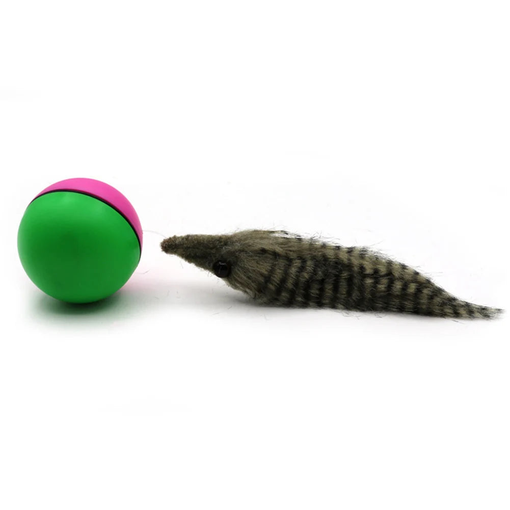 Electric Beaver Weasel Rolling Ball Pet Dog Cat Interactive Chasing Toys Random