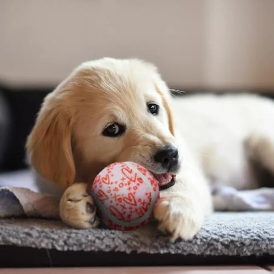 36 Pcs Heart Design Dog Tennis Balls 2.5 Inches Valentine Day Toy Ball for Small Medium Large Dog Durable Teething Chew Toy for