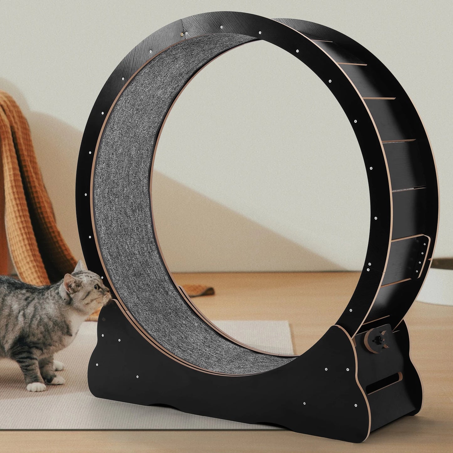Cat Exercise Wheel 43 Inch Cat Wheel Exerciser Safety Cat Treadmill Cat Running Wheel for Indoor Cats Physical Exercise Activity