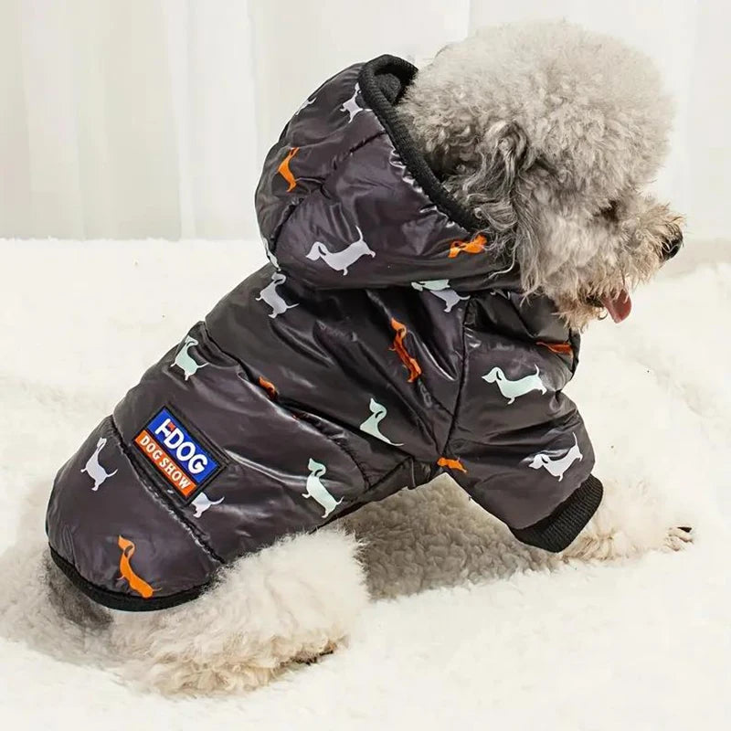 Autumn and winter pet clothing, Teddy bichon frise fleece, thickened and comfortable warm clothes, pet cat and dog supplies