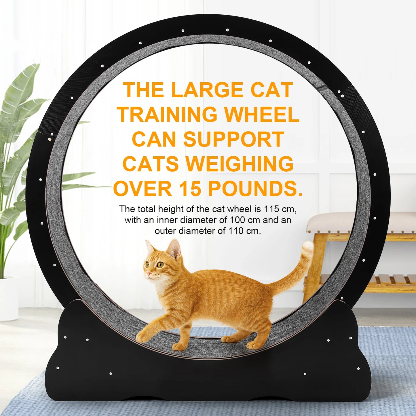 Cat Wheel Cat Treadmill Cat Exercise Wheel Fitness Roller Cat Climbing Frame for Indoor Cats Physical Exercise Activity
