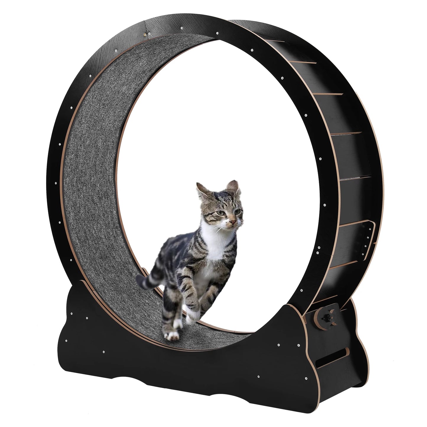 Large Cat Running Treadmill Wheel 43 Inch Treadmill Exerciser for Indoor Cats