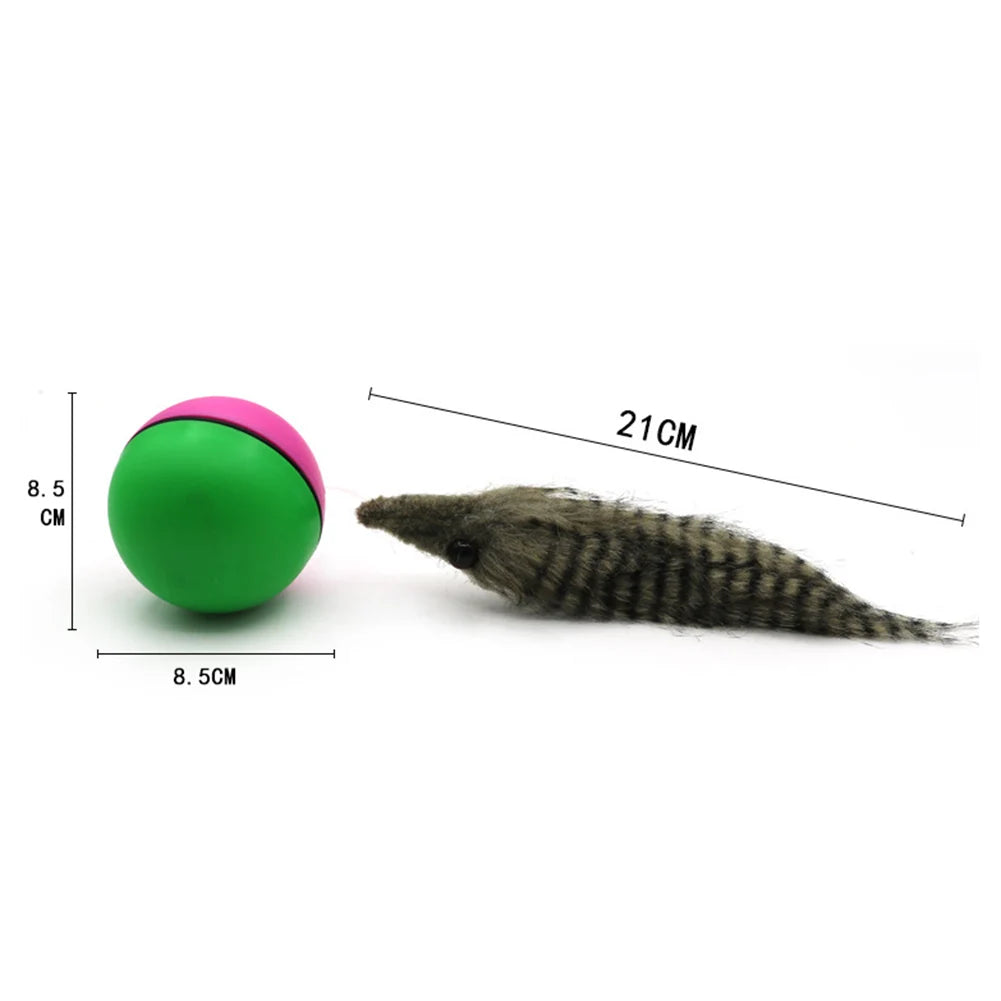 Electric Beaver Weasel Rolling Ball Pet Dog Cat Interactive Chasing Toys Random