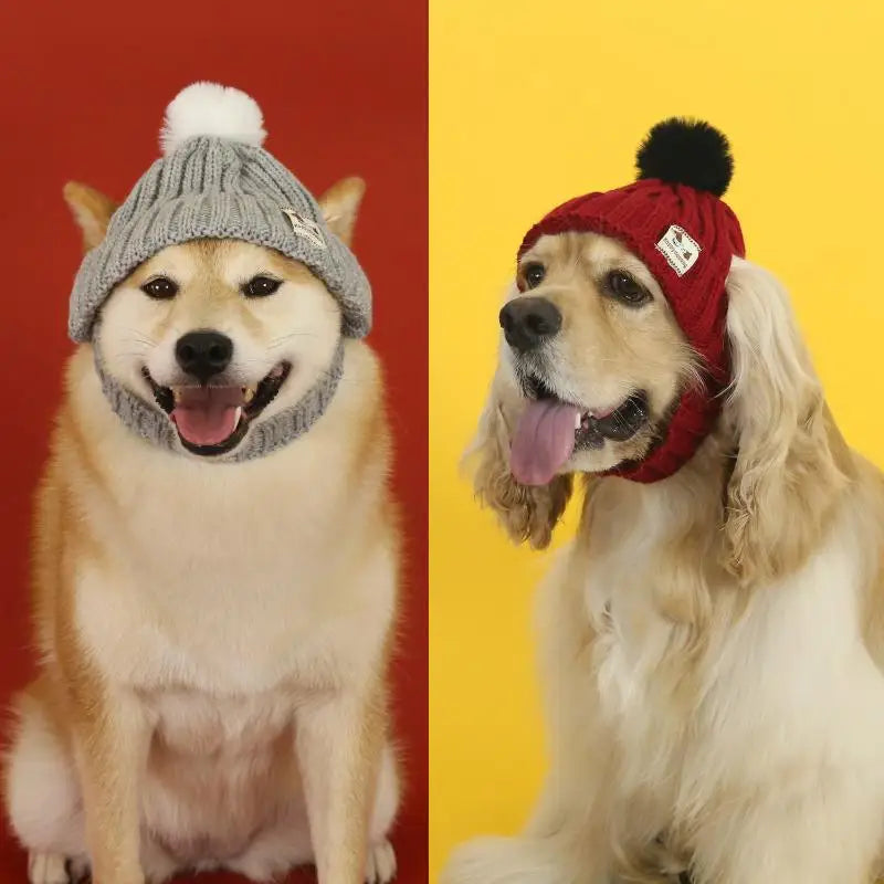 Winter Pet Dog Knitted Hat Ear Exposed Headgear Windproof Fashion Cat Headband Autumn And Winter Fur Ball Pet Dress Up Supplies