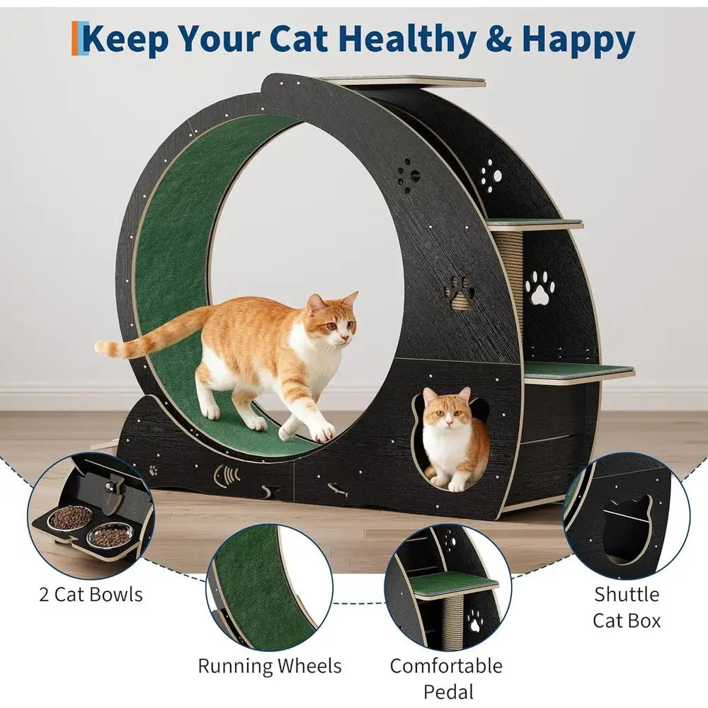 40 Large Indoor Cat Exercise Wheel, 4-in-1 Running Treadmill with Carpeted Track and Scratcher