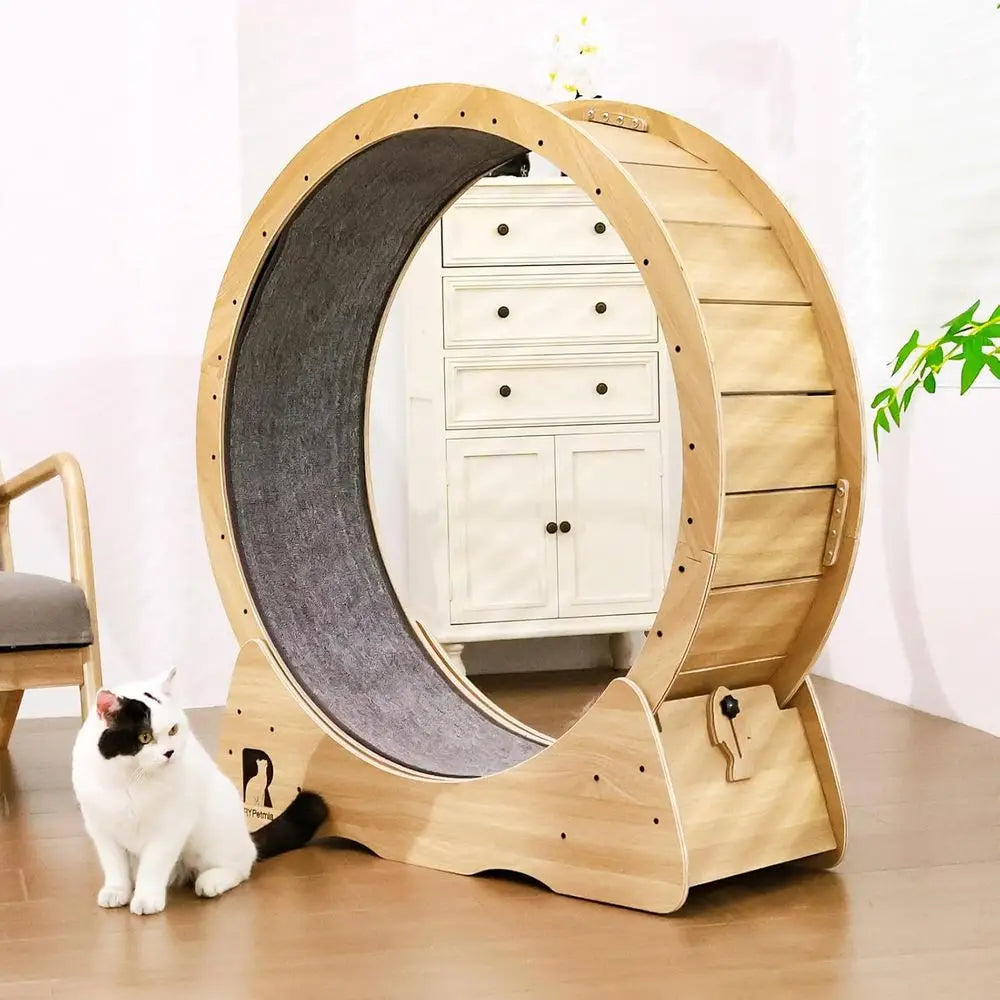 Indoor Silent Cat Exercise Wheel, 43 Non-Tip, Supports Up to 55 lbs, Easy Assembly