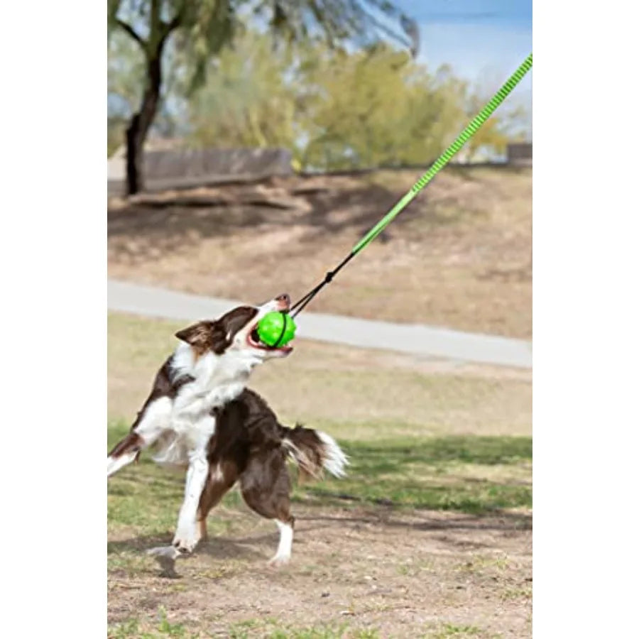Tree Tugger for Dog Green Tuff Treader Dog Toy with Handle 6 Inches Red Model JTR23 All Breed Sizes-xq
