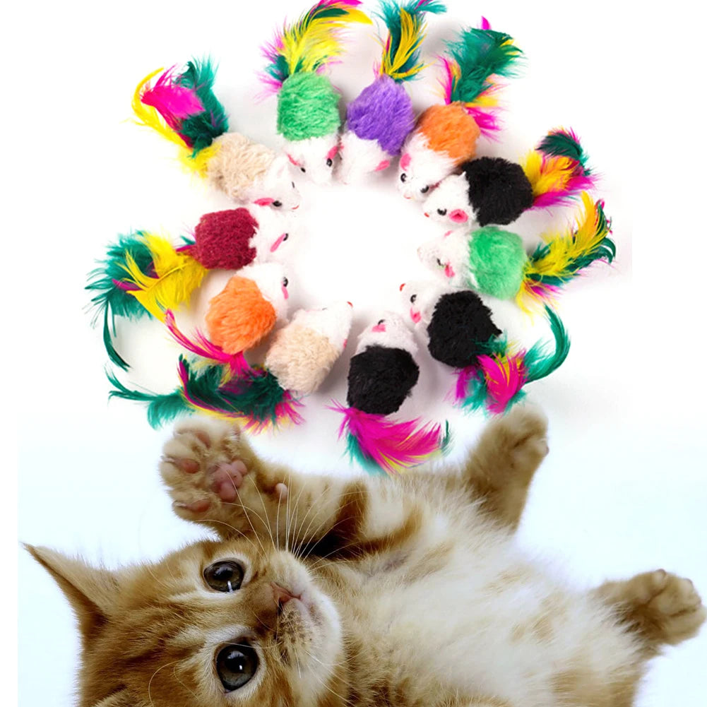 10 Pcs False Mouse Cat Toys Colorful Feather Kitten Toys Pet Toys Funny Playing Toys for Indoor Cats Kitten Puppy Pet Supplies