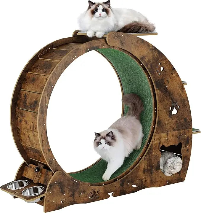 40 Large Indoor Cat Exercise Wheel, 4-in-1 Running Treadmill with Carpeted Track and Scratcher