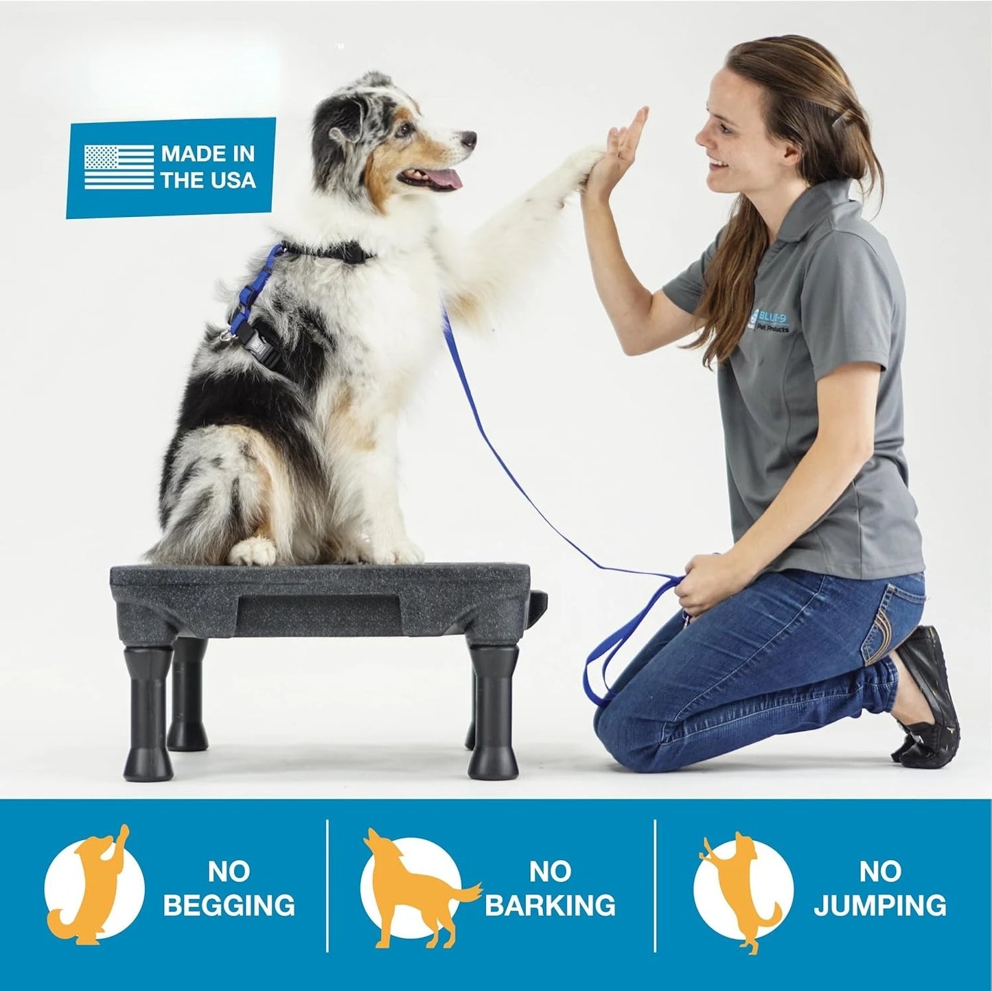 Training Kit, Professionally Designed Dog Platform and Accessories for Training and Agility and Accessories
