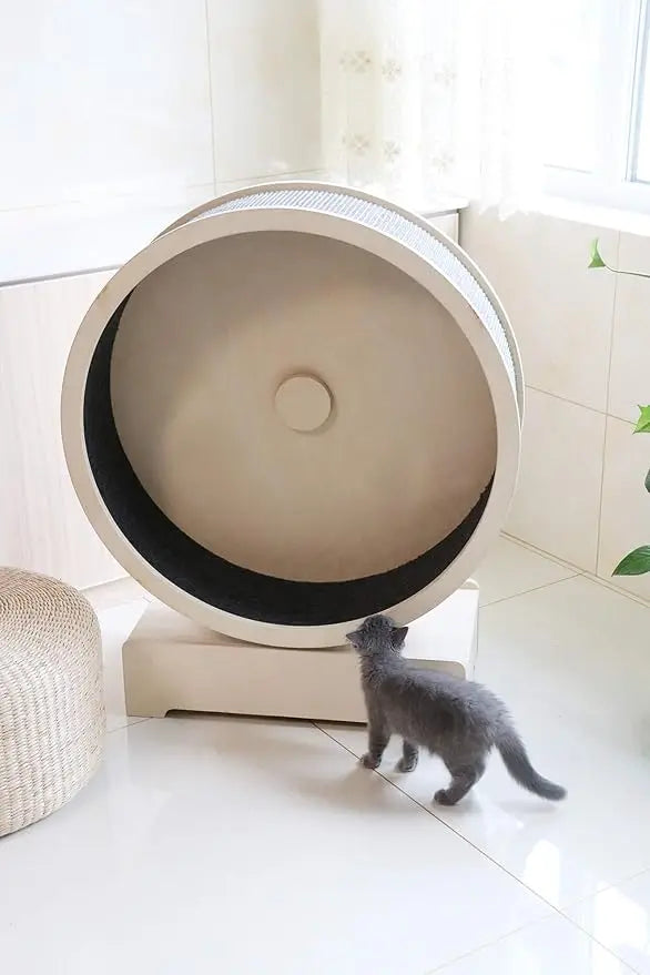 29.5 Spin-Kitty Cat Exercise Wheel - Indoor/Outdoor Treadmill for Running, Spinning, and Scratching