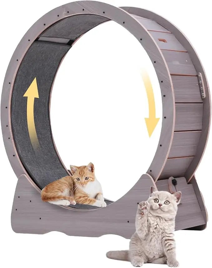 Indoor Silent Cat Exercise Wheel, 43 Non-Tip, Supports Up to 55 lbs, Easy Assembly