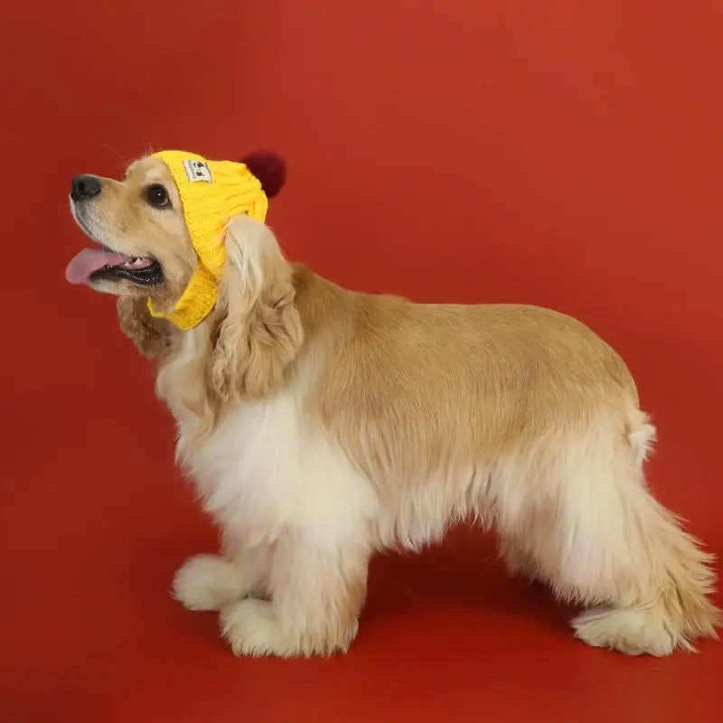 Winter Pet Dog Knitted Hat Ear Exposed Headgear Windproof Fashion Cat Headband Autumn And Winter Fur Ball Pet Dress Up Supplies