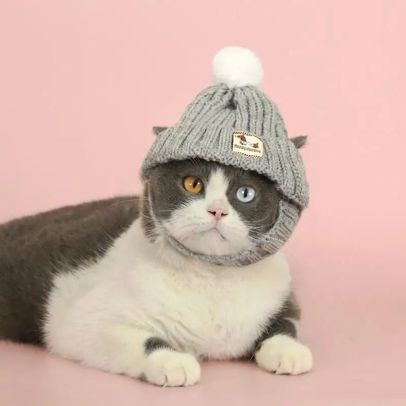 Winter Pet Dog Knitted Hat Ear Exposed Headgear Windproof Fashion Cat Headband Autumn And Winter Fur Ball Pet Dress Up Supplies