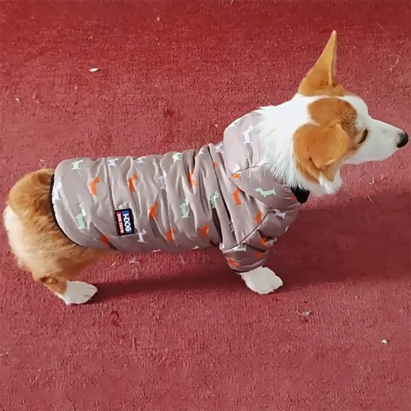 Autumn and winter pet clothing, Teddy bichon frise fleece, thickened and comfortable warm clothes, pet cat and dog supplies