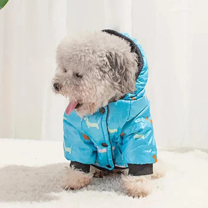 Autumn and winter pet clothing, Teddy bichon frise fleece, thickened and comfortable warm clothes, pet cat and dog supplies