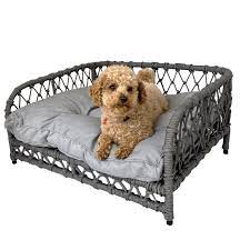 dog bed